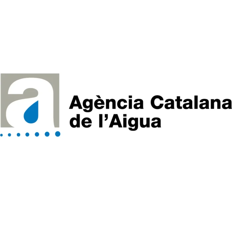 SUBVENCIÓ PER L’EXECUCIÓ D’ACTUACIONS DE MANTENIMENT I CONSERVACIÓ DE LES LLERES EN TRAMS URBANS