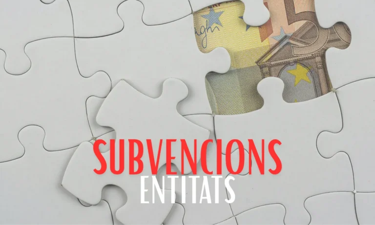 SUBVENCIONS PER CONCURRÈNCIA ENTITATS 2026
