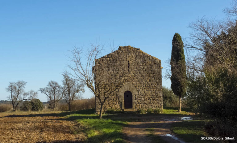 FESTA DEL VEÏNAT DE SANTA CRISTINA 2024