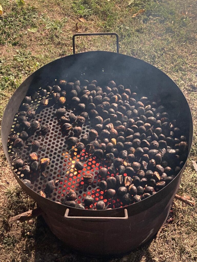 XVI CASTANYADA POPULAR